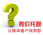 网站优化